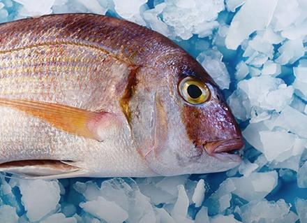 Chế biến và bảo quản hải sản