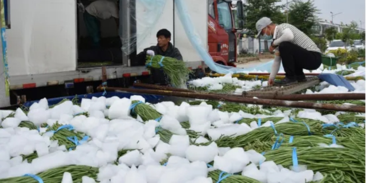 stainless ice maker #