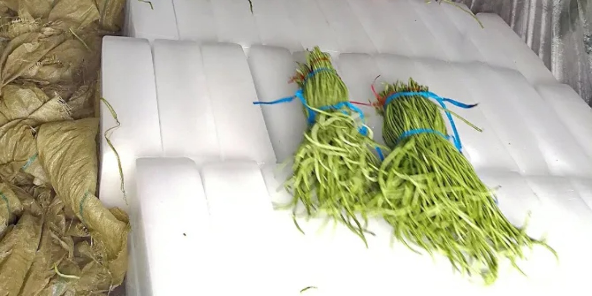 ice machine ice maker #