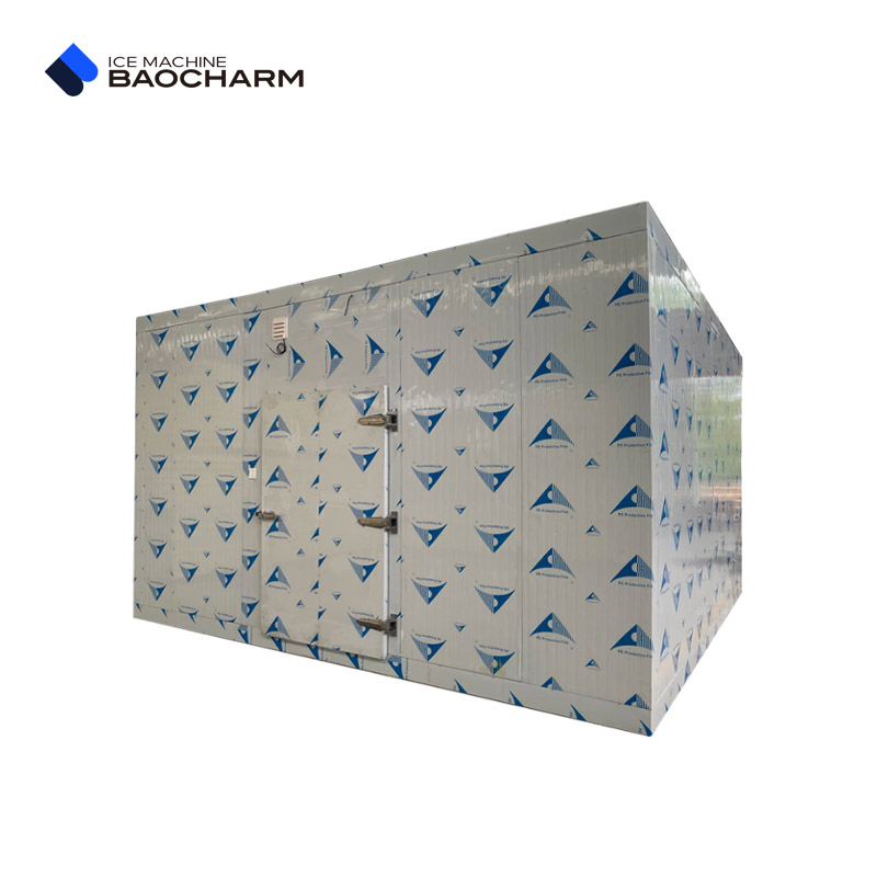 ice maker with freezer storage